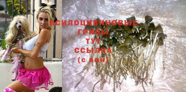 MDMA Богородицк
