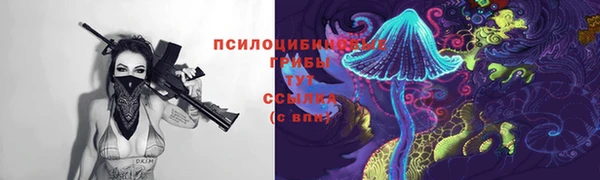 синтетический гашиш Бородино