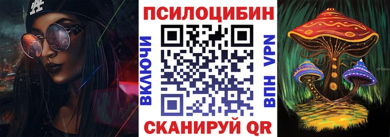 как найти   Ува  Галлюциногенные грибы Psilocybe 